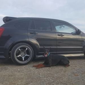 Meet your Posher, Matthew